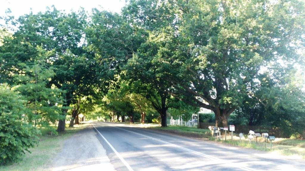 The Daylesford-Malmsbury Road