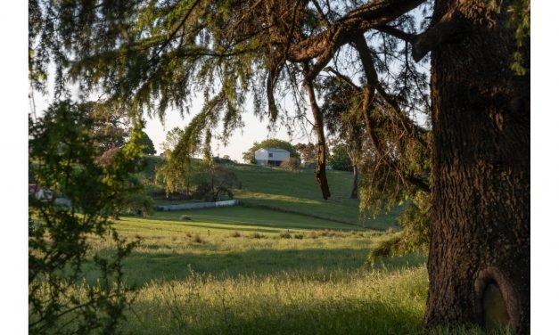 17 Smith Street Petition Calls on Planning Minister to Act