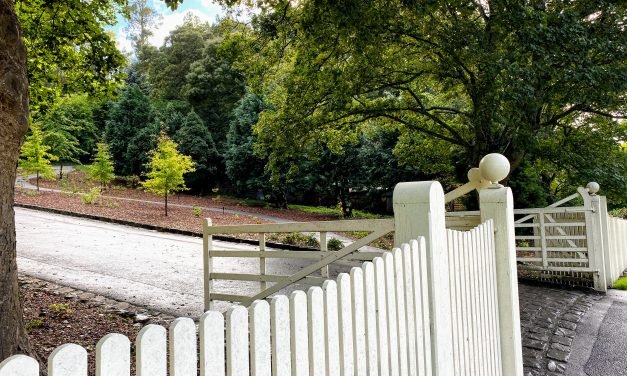 Facelift for Wombat Hill Botanic Gardens