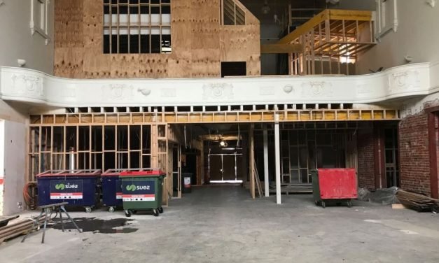 The Rex – How Much is Too Much?