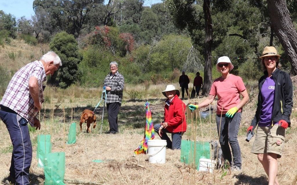 “Grove of Gratitude” Planting