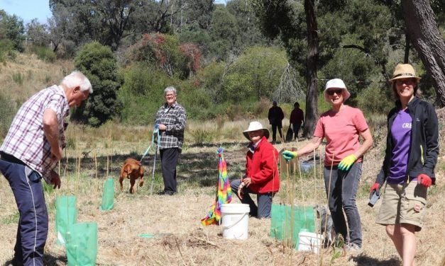 “Grove of Gratitude” Planting