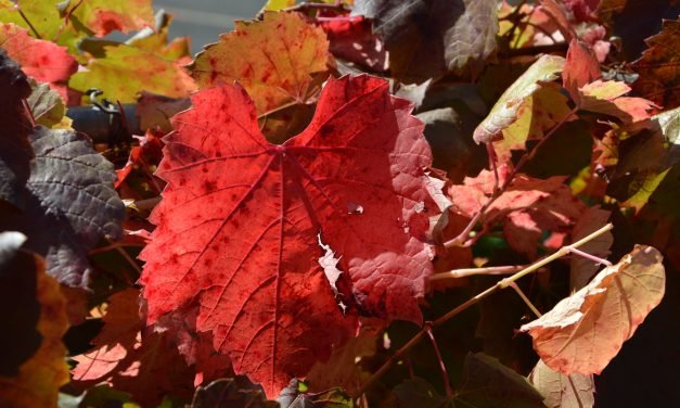 We’ve had the Coolest Summer Since 2002