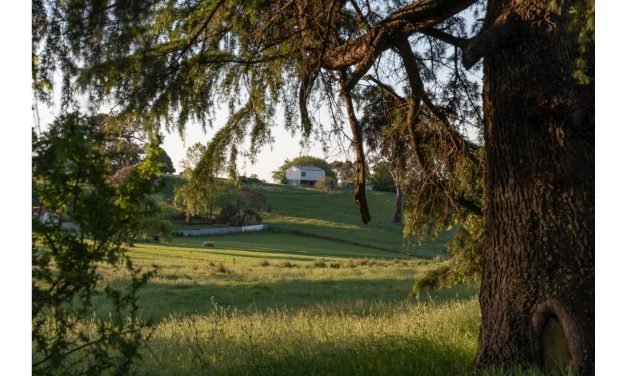 17 Smith Street Development Appears to be Approved