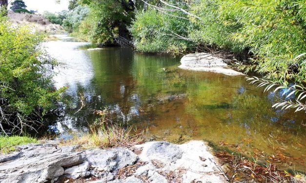 Jim Crow Creek