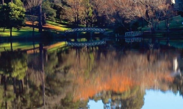 Integrated Water Management Plan for Daylesford and Hepburn Springs