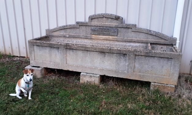 Annis and George Bills Horse Trough