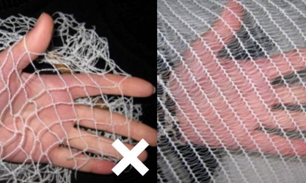New Regulations for Tree Netting Come into Effect