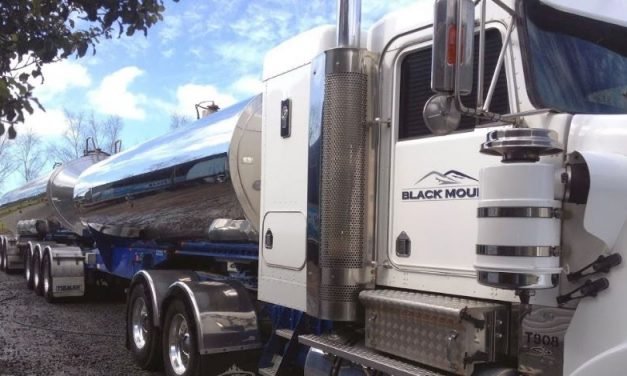 Bore War: Locals Versus Locals