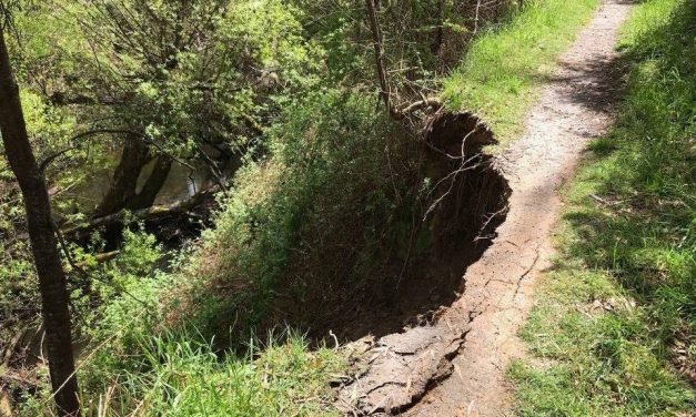 Damage to Local Walking Tracks
