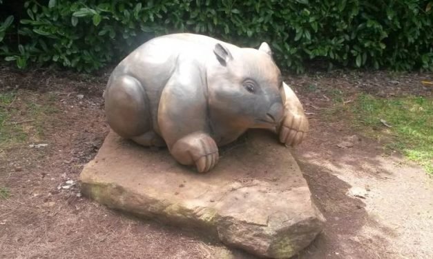 The Wombat Post Celebrates World Wombat Day!