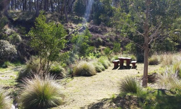 Cornish Hill Needs a Little TLC