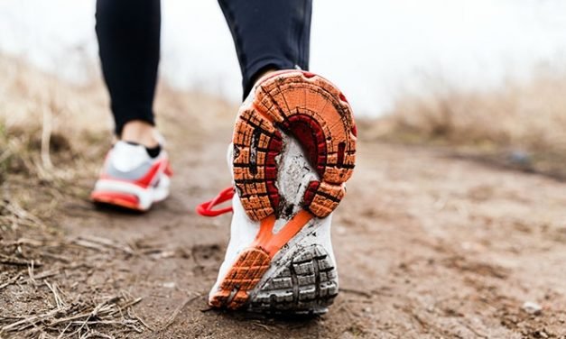 Walk to Support Local Families this Christmas