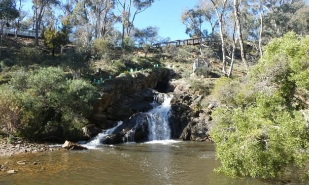 Wet Conditions Forecast to Continue