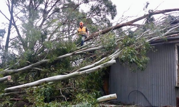 Community Get Together for Storm Affected Residents