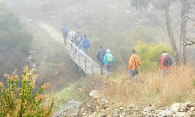 U3A has Hopes for Great Year