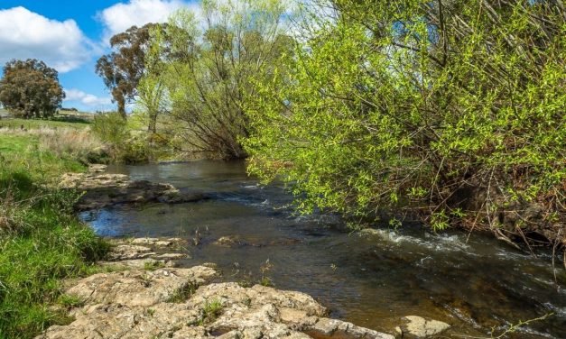 Council Approves Name Change to Local Creek