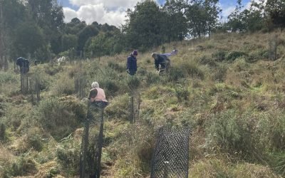 Community Grant Recipients Celebrated