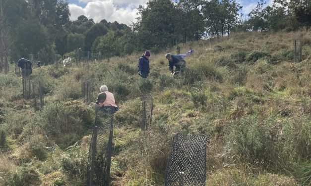WinterWhackaWeed@Cornish Hill