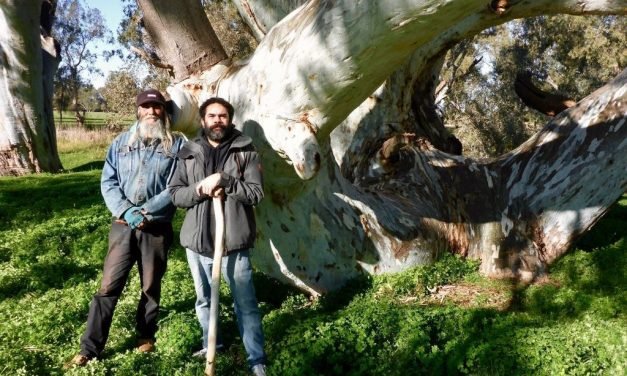 The Forgotten Fishponds on the Plains