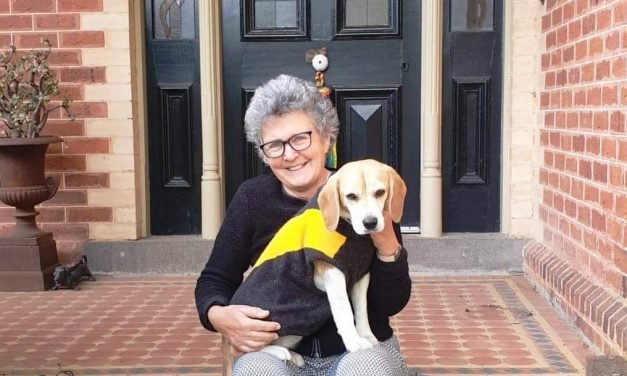 Councillor Column: Lesley Hewitt