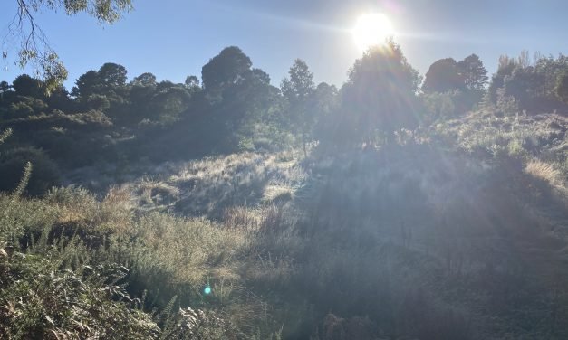 Sunshine, Lollipops and Spring