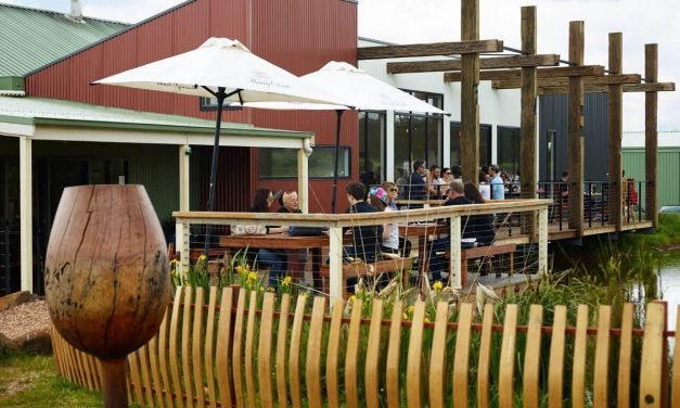 Government Grant for Passing Clouds