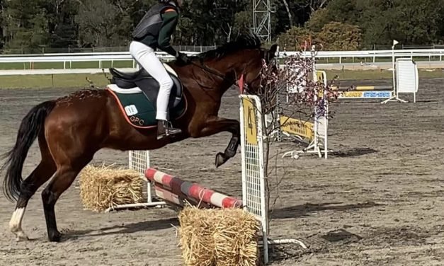 Community Grants Awarded