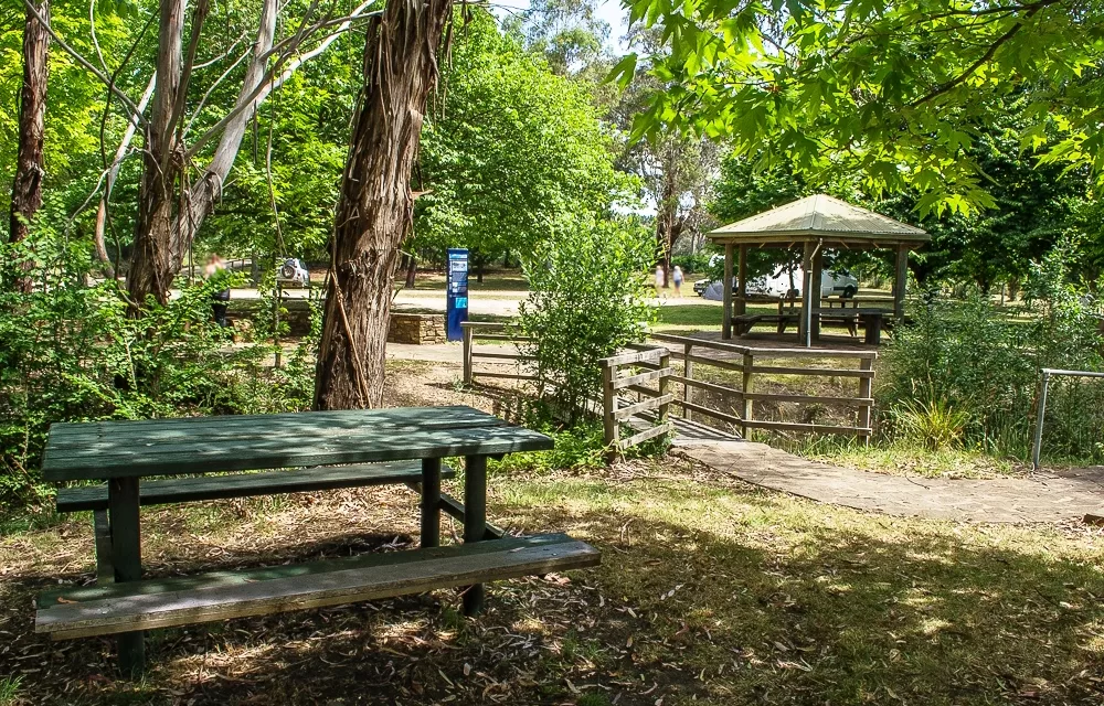 Contribute to the Glenlyon Reserve Masterplan