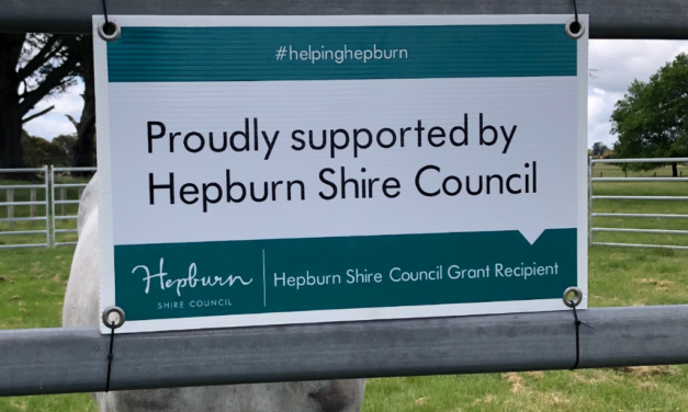 Council to Review Grants Program