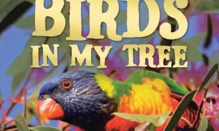 New Picture Book Teaches Children About Local Birds