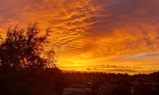 Dry, Wet, Mild Then Cold – Normal or Not?