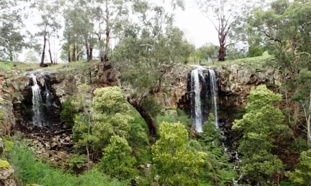 Get Outdoors this Easter for a Healthier, Happier You