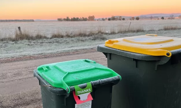 How Do You Use Council Waste and Recycling Services?