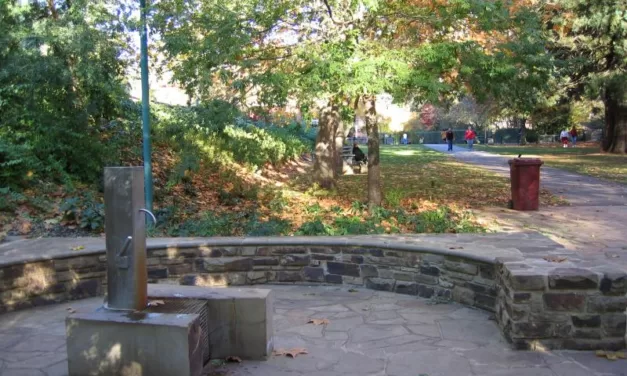 Mineral Springs Master Plan