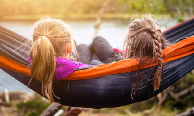 Council Announces Latest Round of Community Grants