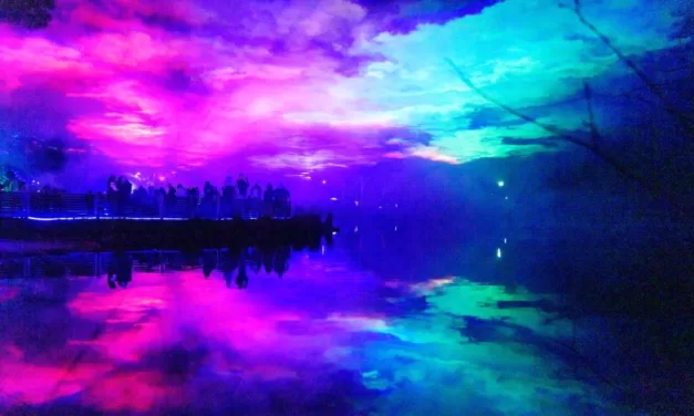 Winter Events for Locals and Visitors Alike