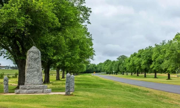 A Boost for the Kingston Avenue of Honour