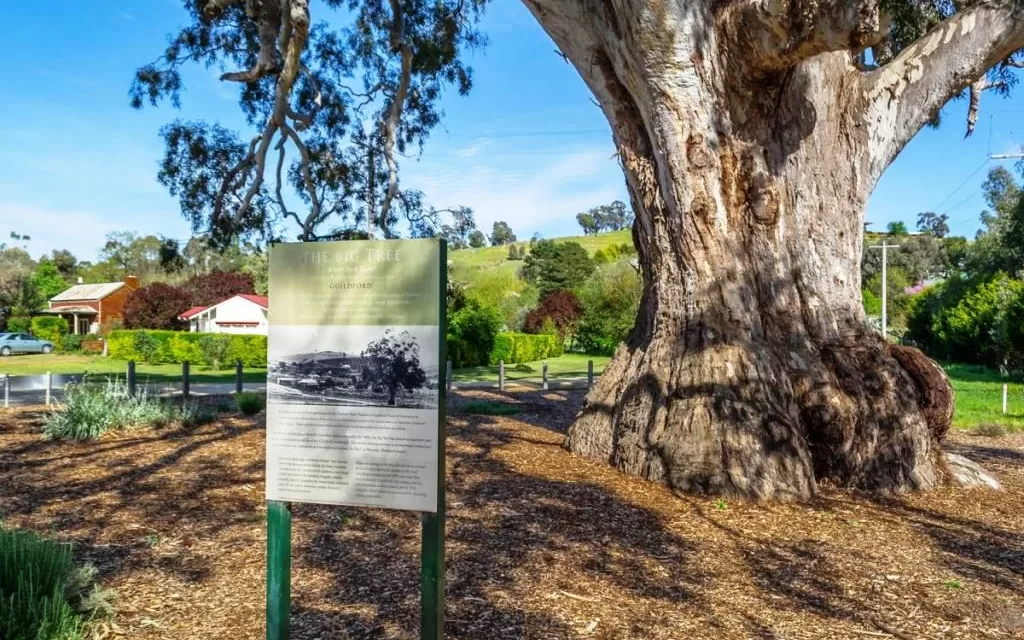 Reading the Country at Contact – A Driving Tour for Reconciliation Week