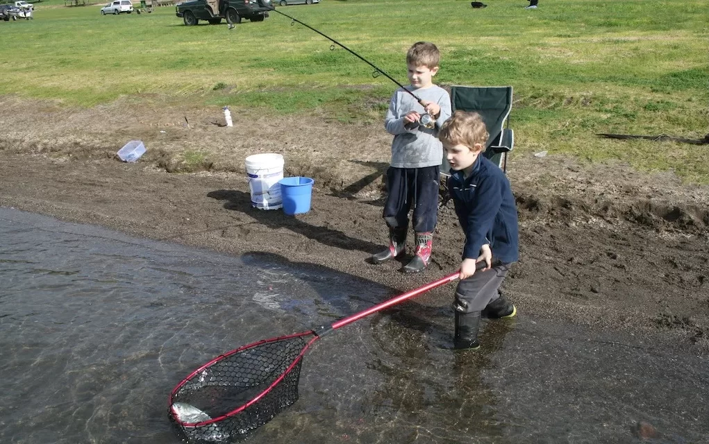 Local Waterways Stocked with Trout for School Holiday Adventure