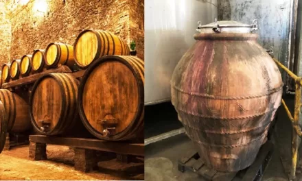 Wine: Oak or Amphora?