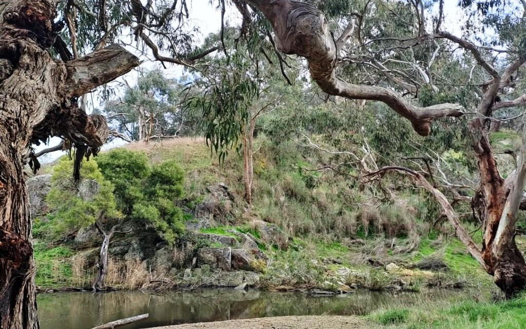 Dja Dja Wurrung Language Returns to Country