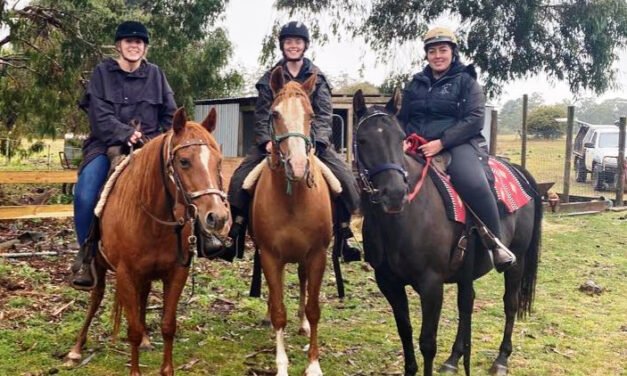 The Big Adventure 2.0 – Ride for Breast Cancer