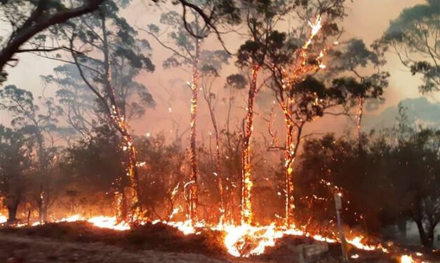 Bushfire Planning Help from the CFA