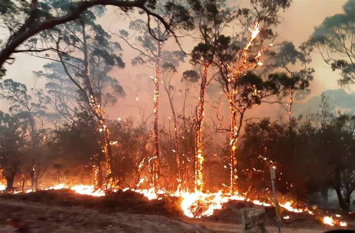 Bushfire Planning Help from the CFA