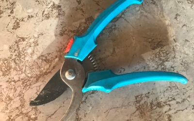 Daylesford Repair Café