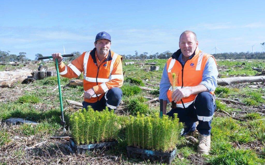 Central Highlands Water to Investigate Bioenergy Generation