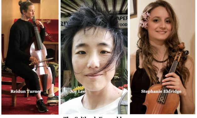 Saltbush Ensemble to Play at Christ Church