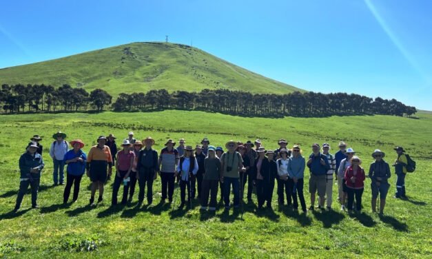 Celebrate Our Local Mountain Landscapes for International Mountain Day