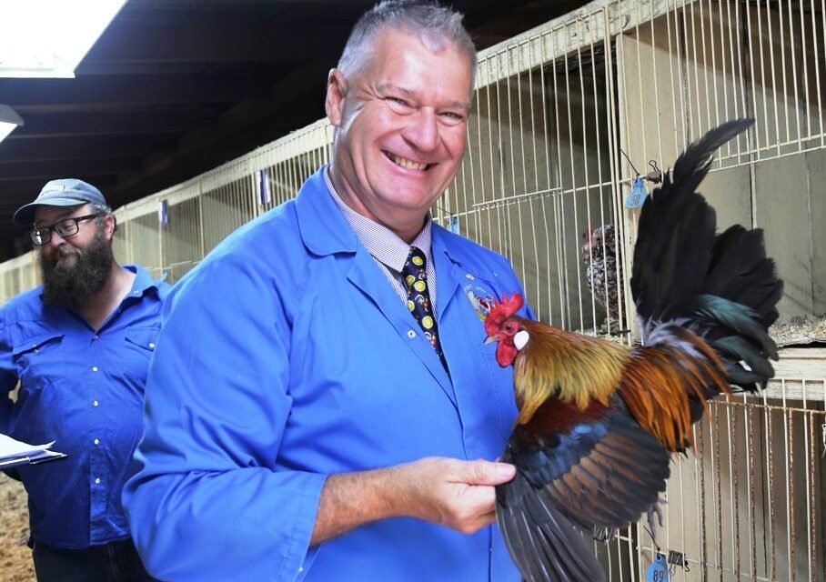 Daylesford Show a Huge Success